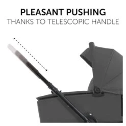 Hauck Walk N Care All In One – Dark Grey -Kiddies Kingdom Store 5teu