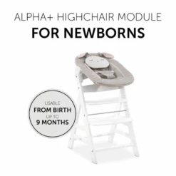 Hauck Alpha Bouncer 2 In 1 – Beige Bloom 22 Hauck Alpha Bouncer 2 In 1 – Beige Bloom -Kiddies Kingdom Store 6yuiu