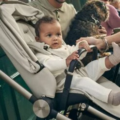 Mamas & Papas Vardo Shell Pushchair 19 Mamas & Papas Vardo Shell Pushchair -Kiddies Kingdom Store DERH5