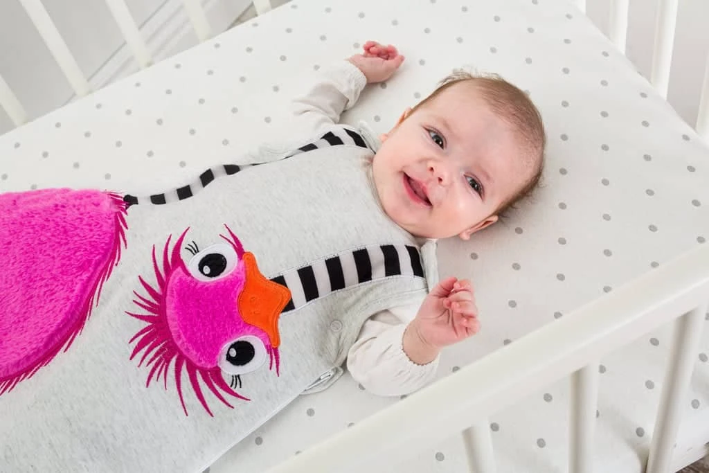 Bizzi Growin -BABY SLEEPING BAG 6-18 MONTHS 2.5 TOG – Octavia Ostrich 2 Bizzi Growin -BABY SLEEPING BAG 6-18 MONTHS 2.5 TOG – Octavia Ostrich - Image 2