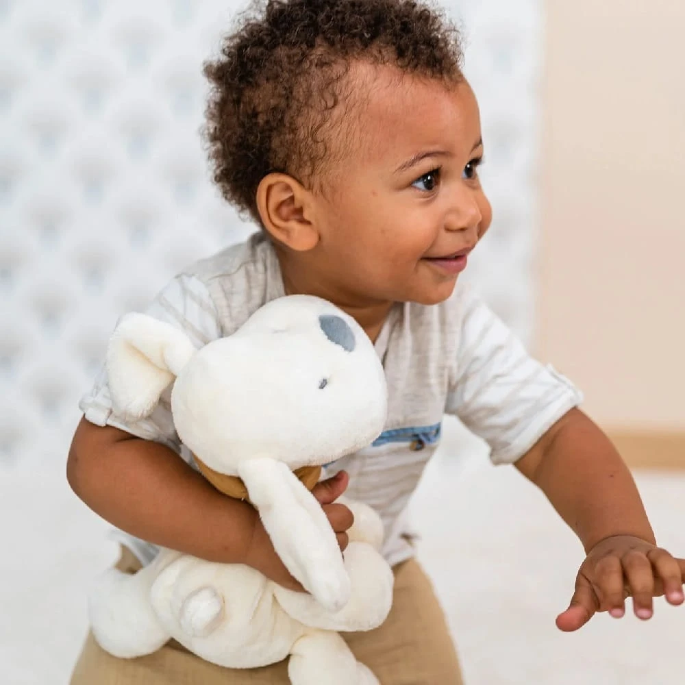 Nattou Cuddly – Charlie The Dog Vanilla 2 Nattou Cuddly – Charlie The Dog Vanilla - Image 2