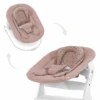 Hauck Alpha Bouncer 2 In 1 – Bambi Rose
