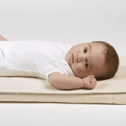 Little Green Sheep Organic Large Crib Mattress Protector 83X50cm -Kiddies Kingdom Store rwey64w