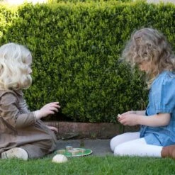 Classic World Balancing Water Lily Game -Kiddies Kingdom Store xdgeat